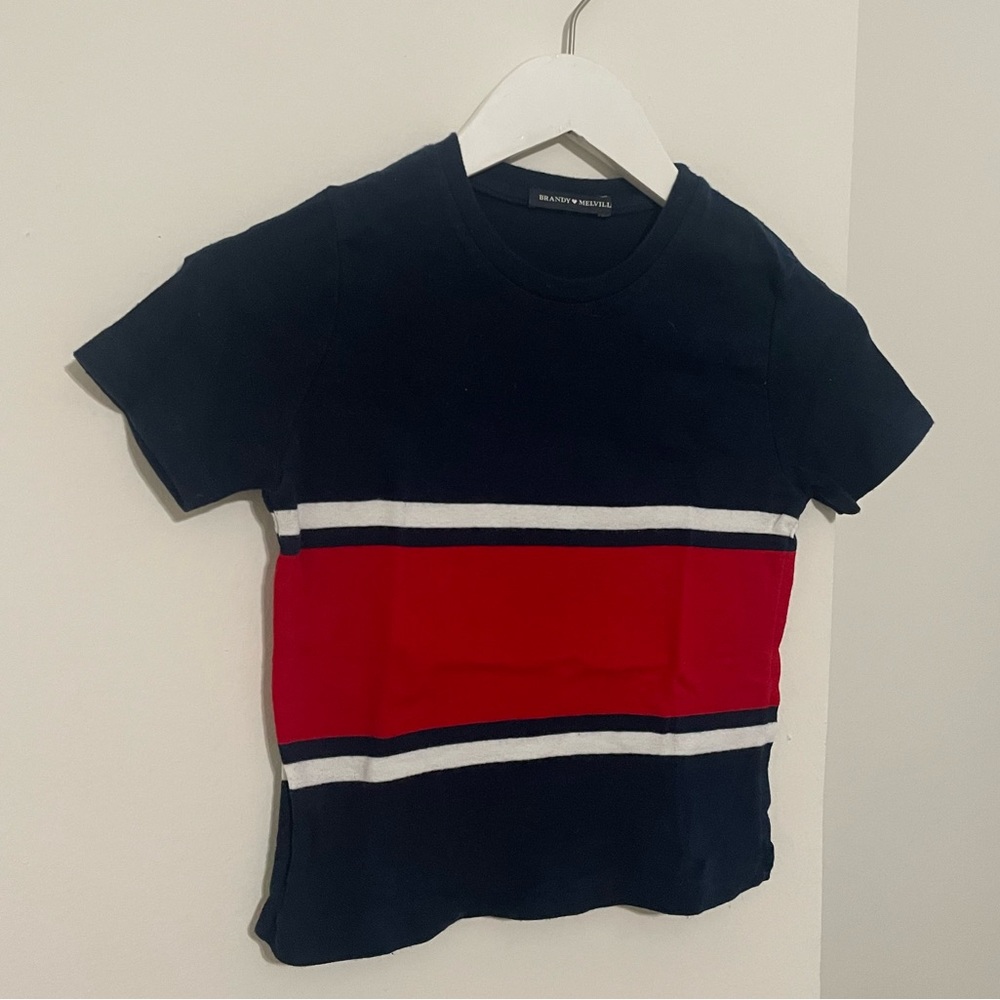 Brandy Melville Crop Top